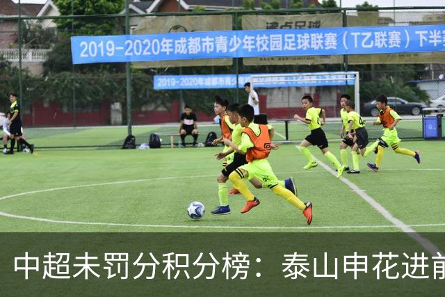 中超未罚分积分榜：泰山申花进前3，国安第5，海港距降级区仅4分