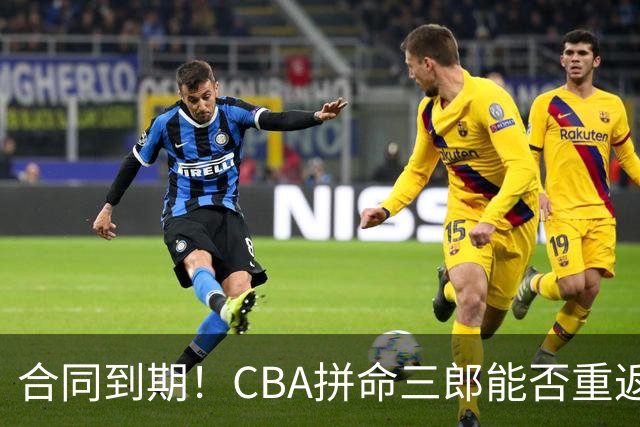 合同到期！CBA拼命三郎能否重返广东？期待辅佐徐杰、胡明轩