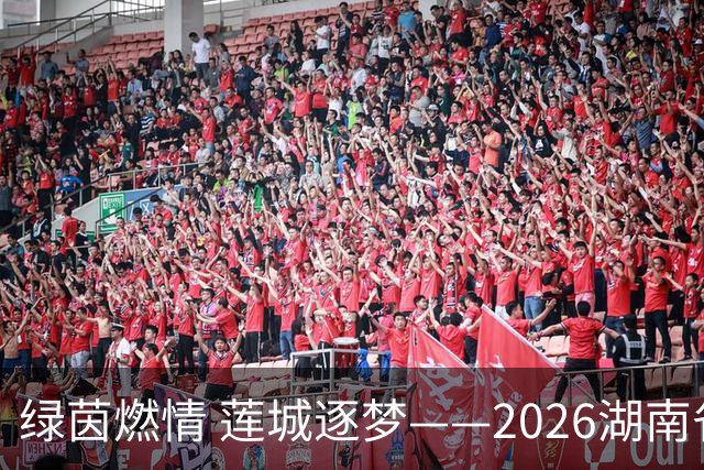 绿茵燃情 莲城逐梦——2026湖南省足球联赛湘潭首个主场赛事侧记