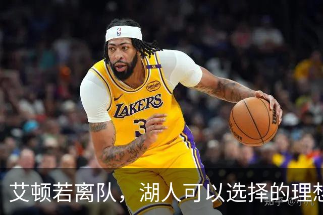 艾顿若离队，湖人可以选择的理想中锋替代者是谁？