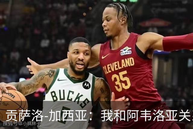 贡萨洛-加西亚：我和阿韦洛亚关系很好，他很信任我